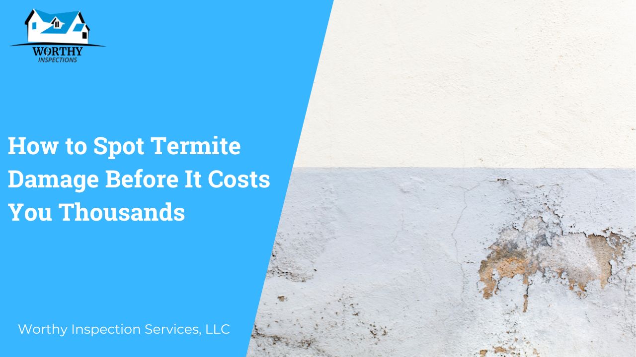 How to Spot Termite Damage Before It Costs You Thousands