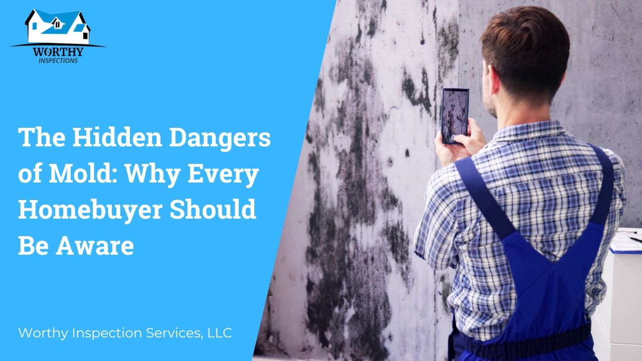 The Hidden Dangers of Mold: Why Every Homebuyer Should Be Aware